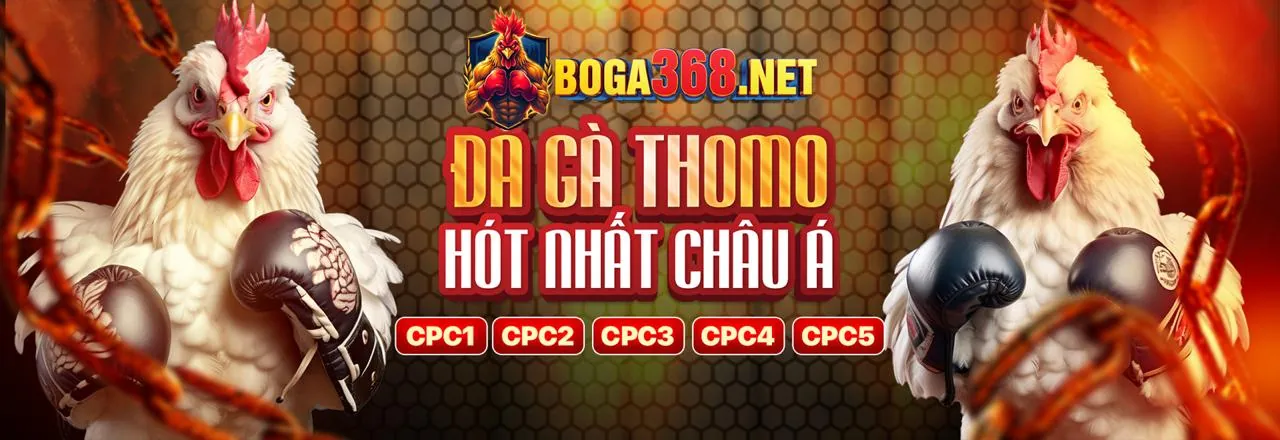 Hình ảnh nền chính sách bảo mật của PK14 chính thức 2026